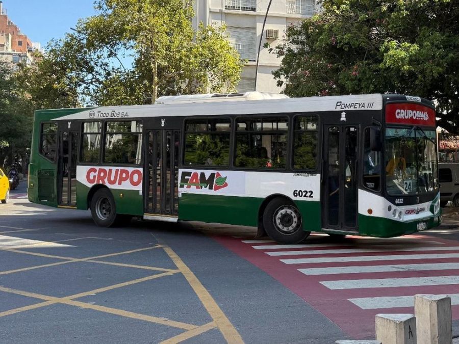 Transporte urbano en crisis en Córdoba: aplican operativo especial y viajes gratuitos tras denuncias de sabotaje