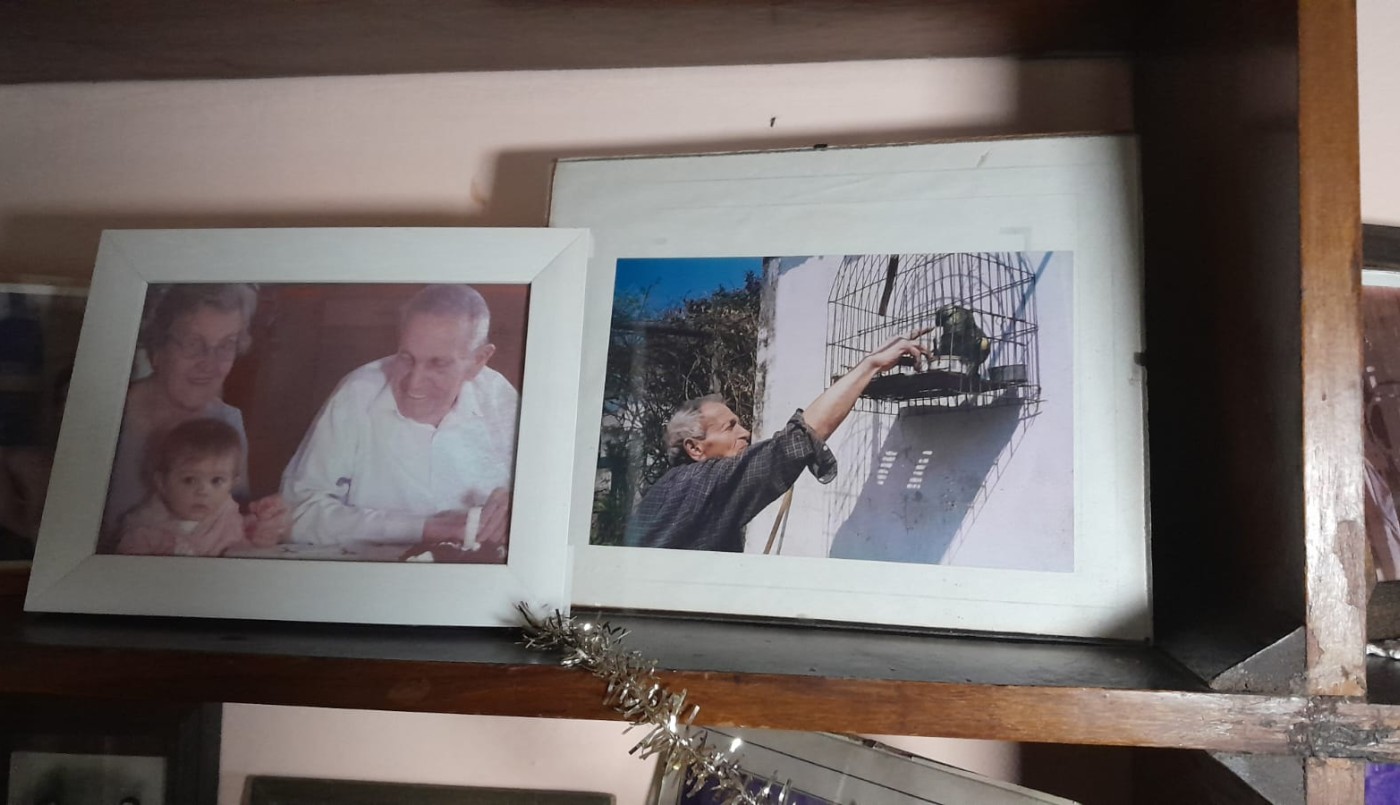 Robaron a “Pipo”, un loro barranquero de más de 40 años que era parte de una familia de barrio Ameghino Sur | Córdoba