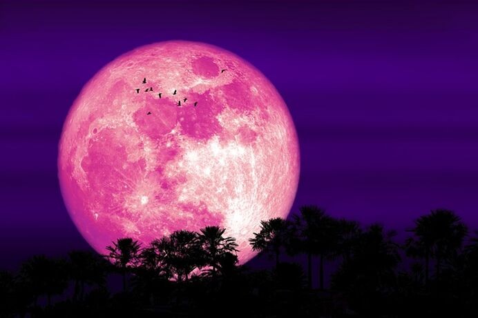 La Luna Rosa de abril: un espectáculo lunar que se podrá ver en todo el país | Curiosidades