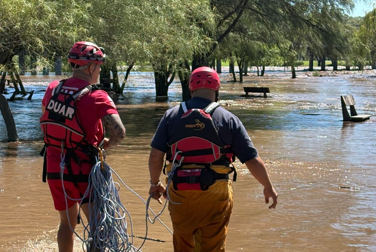 Rescate en Río Cuarto: bomberos salvaron a cuatro caballos atrapados por la crecida del río | Córdoba