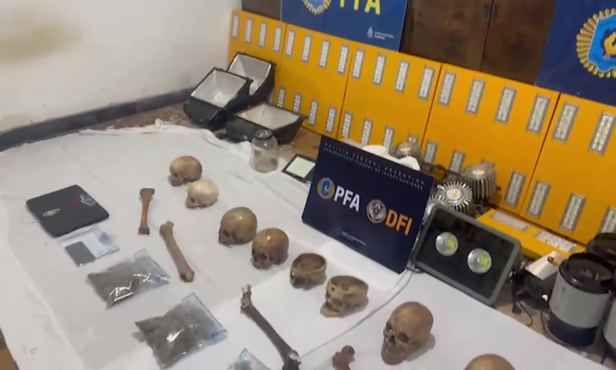 Hallan 10 cráneos humanos y plantas de marihuana durante un operativo antidrogas | Córdoba