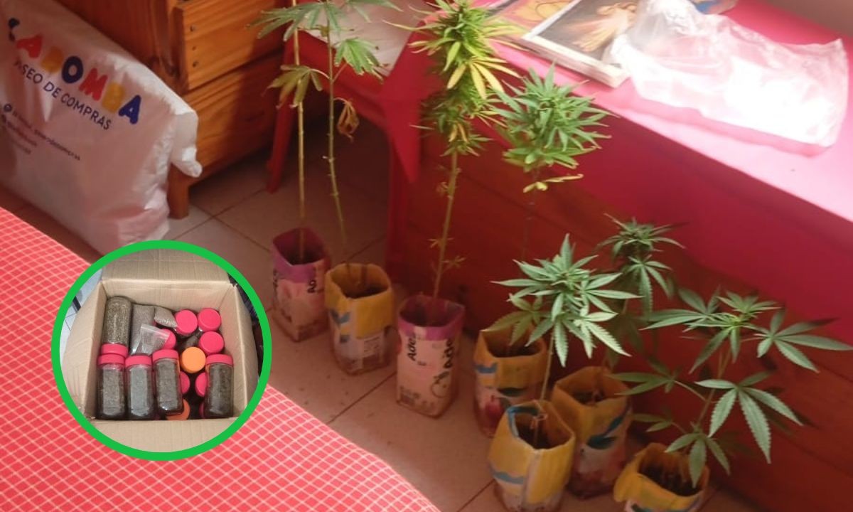 Villa María: asistían a un hombre en crisis y hallaron 10 kilos de marihuana | Córdoba