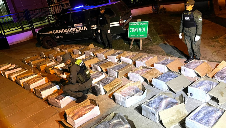 Córdoba: secuestran una tonelada de pescado transportado sin cadena de frío | Córdoba