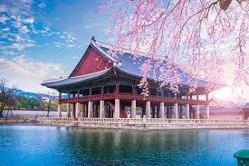 Córdoba se conecta con Corea del Sur: llega el Centro Cultural Móvil para crear experiencias | Visita Córdoba
