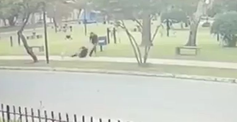 Brutal asalto en una plaza: atacó a una mujer por la espalda para robarle el celular | Córdoba