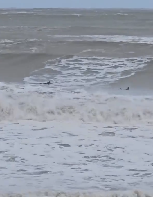 Temporal y olas de hasta siete metros causaron destrozos en la Costa Atlántica bonaerense | Actualidad