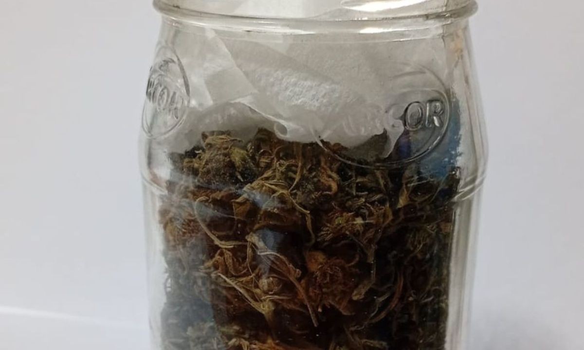 Colonia Tirolesa: detienen a dos hombres que circulaban con marihuana por la ruta | Córdoba