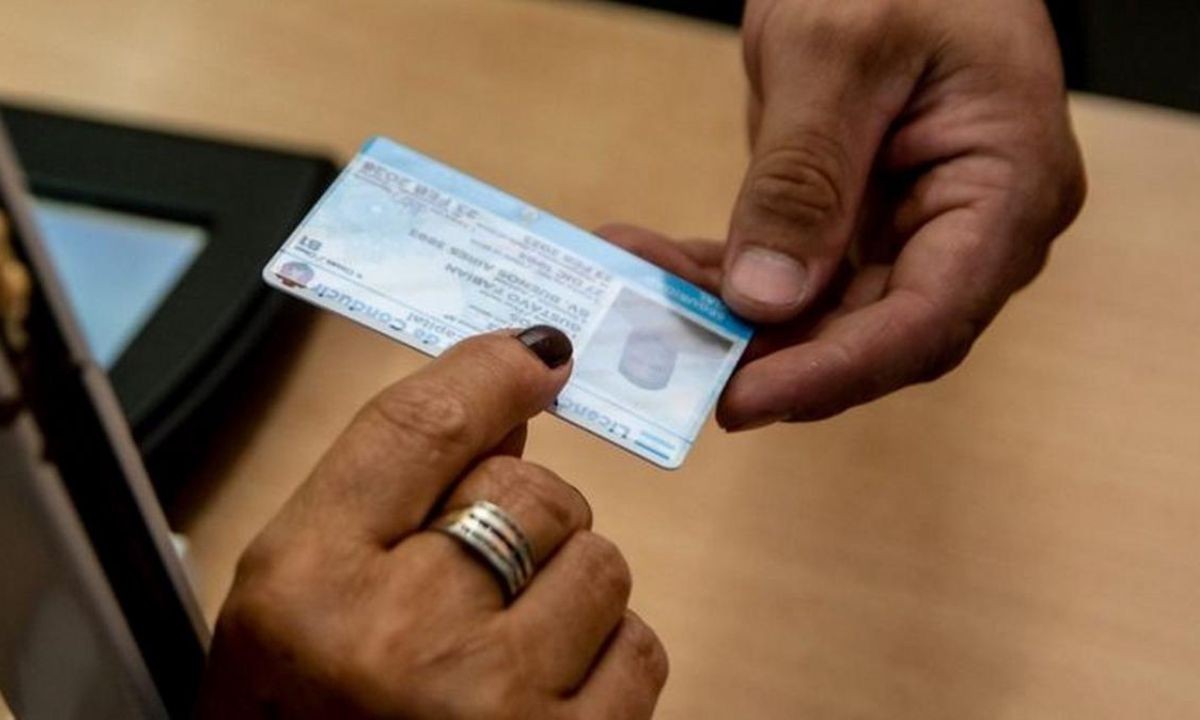 Escándalo en Córdoba: detienen a un empleado municipal por vender carnets falsos | Córdoba