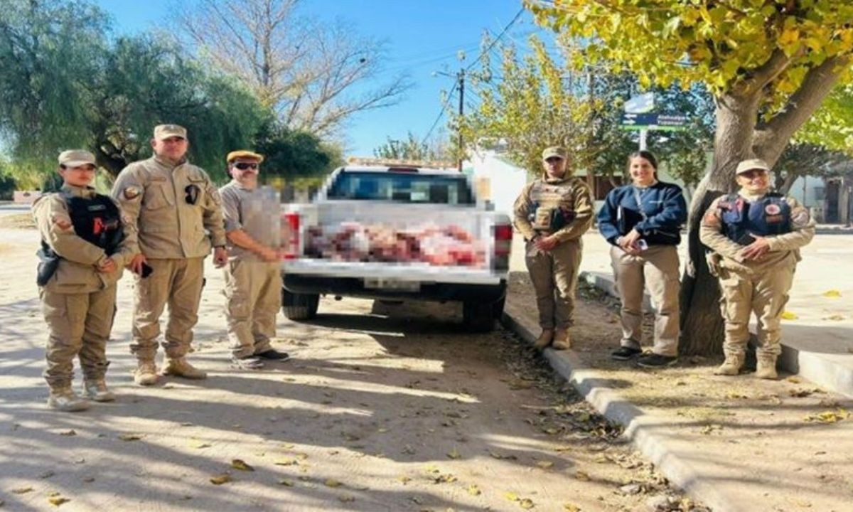 Decomisan más de 60 kilos de carne porcina por faena clandestina en Paso Viejo | Córdoba