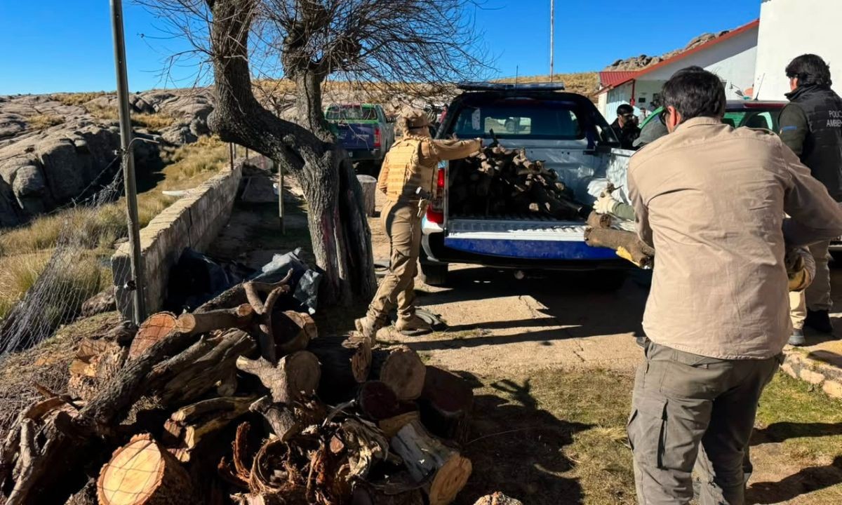Donan leña decomisada a una escuela de montaña para afrontar el frío en Córdoba | Córdoba