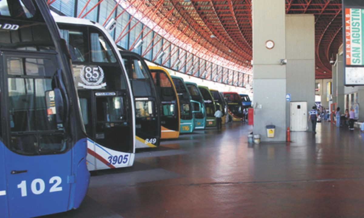El Gobierno eliminó subsidios en pasajes para personas con discapacidad y cáncer | Actualidad