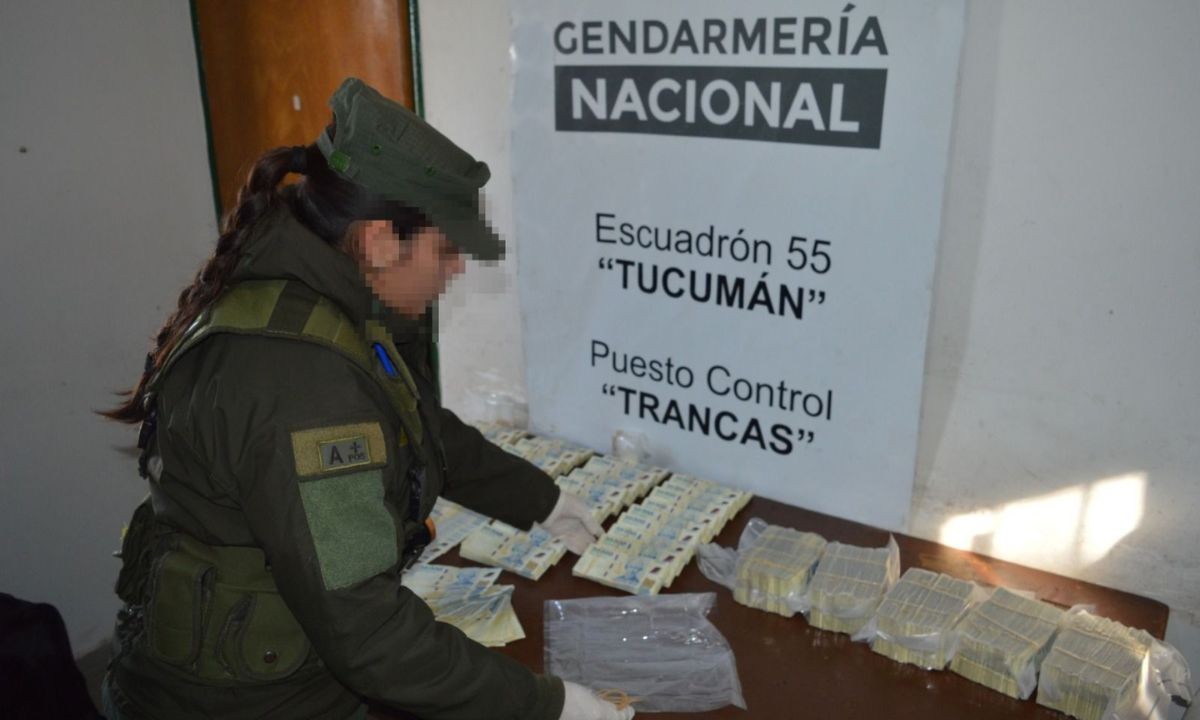 Gendarmes secuestran casi 160 millones de pesos ocultos en un colectivo | Actualidad