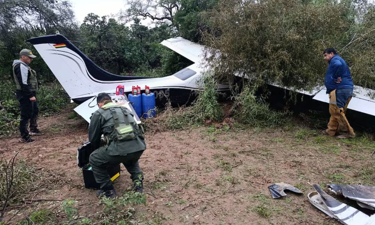 Investigan si una avioneta narco caída en Salta tenía como destino final Córdoba | Actualidad