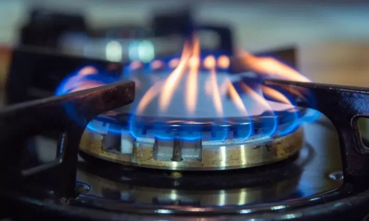 Monóxido de carbono: ya hubo 263 intoxicados y crece la preocupación | Actualidad
