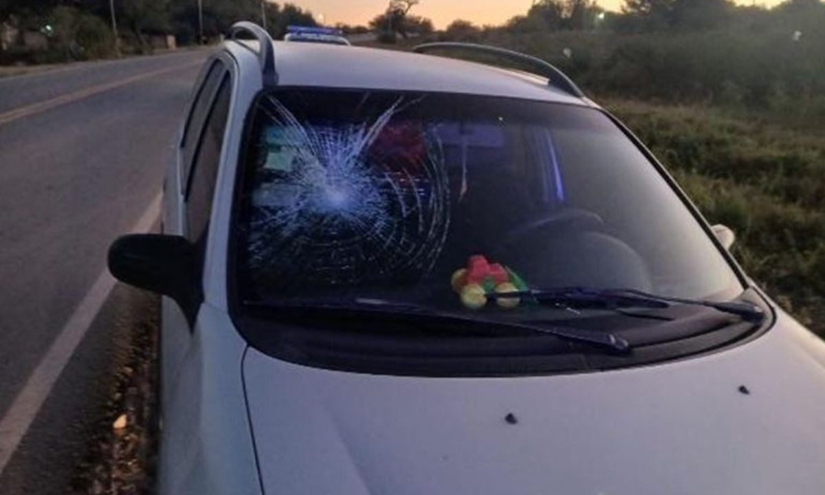 Un conductor salió ileso tras chocar contra un caballo en la Ruta Provincial 16 | Córdoba