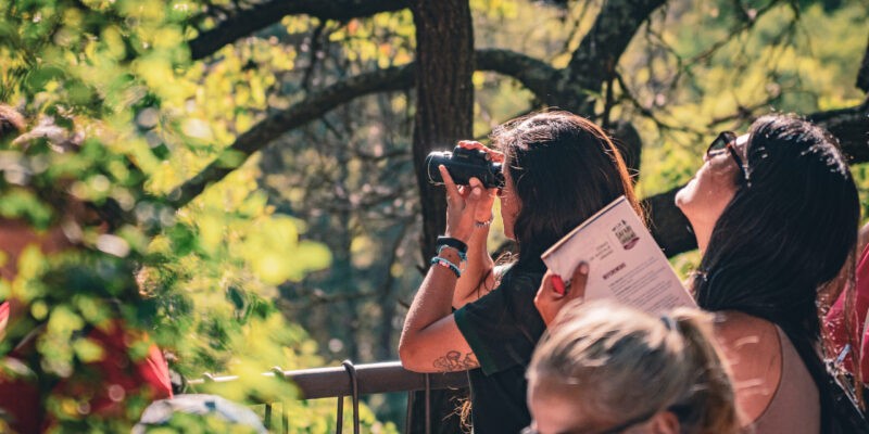 El Parque de la Biodiversidad celebrará el Día de las Aves Migratorias con una visita guiada y charlas educativas | Curiosidades