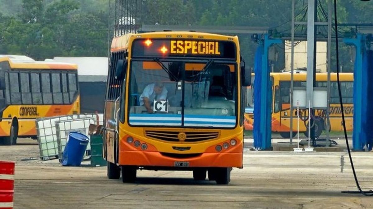 25 de mayo en Córdoba: qué servicios funcionan, cuáles no y cómo será el esquema municipal durante el feriado | Servicios