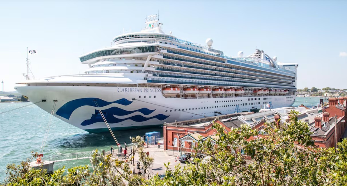 Brote de norovirus en un crucero: más de 100 pasajeros quedaron aislados en altamar | Internacionales
