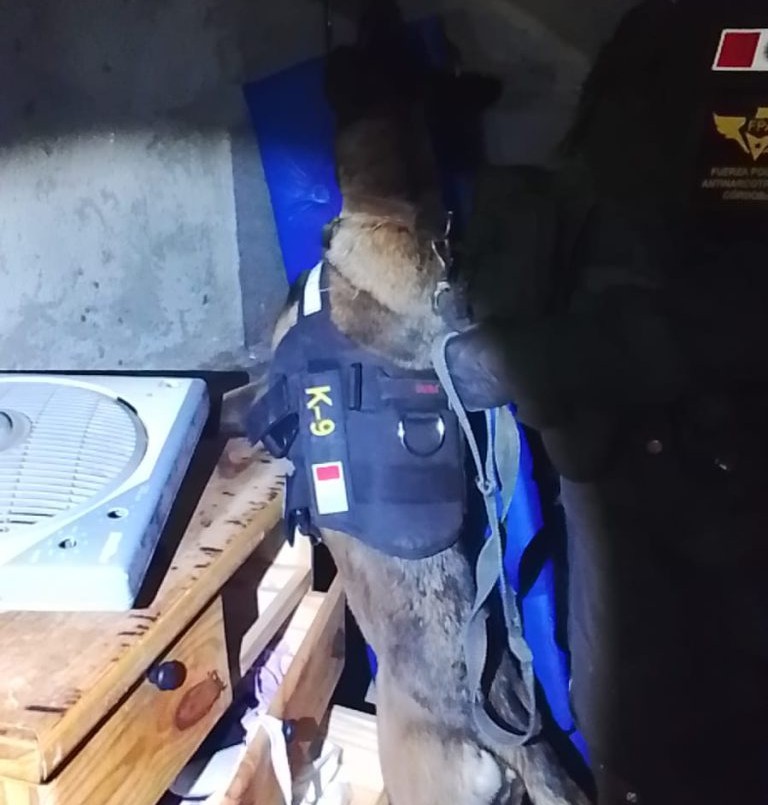 Incautaron más de 5.000 dosis de cocaína, un arma de fuego y detuvieron a dos personas | Córdoba