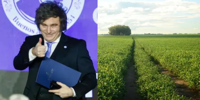 Milei anunció una reducción de retenciones para el agro y sectores industriales | Política y economía