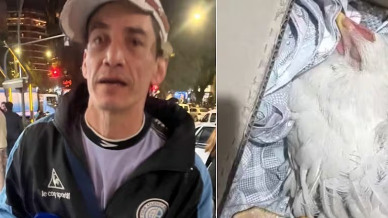 Polémica en los festejos de Belgrano: jugadores colgaron una gallina con la camiseta de Talleres | Córdoba