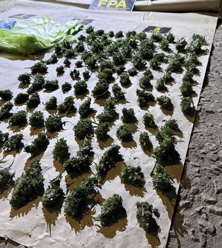Allanamientos en Marcos Juárez: la FPA secuestró cocaína, tussi y marihuana y detuvo a dos narcomenudistas | Córdoba