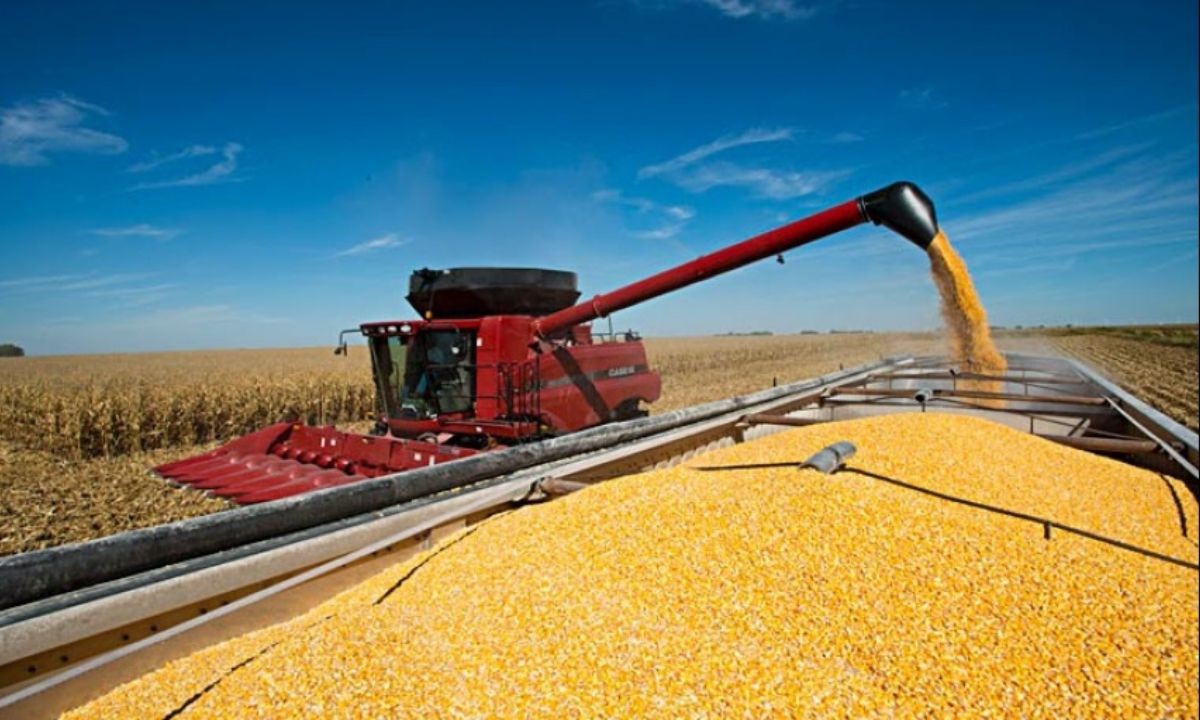 El Gobierno oficializó la reducción gradual de retenciones para el sector agropecuario | Actualidad