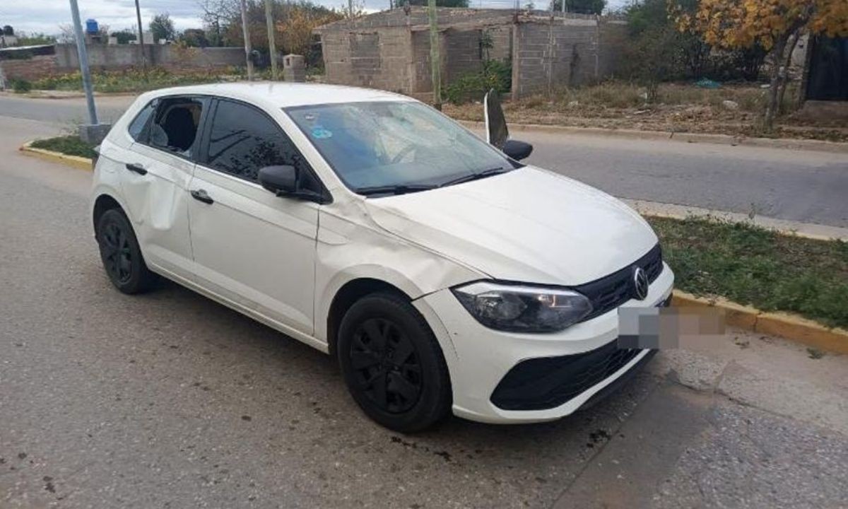 Un caballo suelto causó un fuerte choque contra un auto en Cruz del Eje | Córdoba
