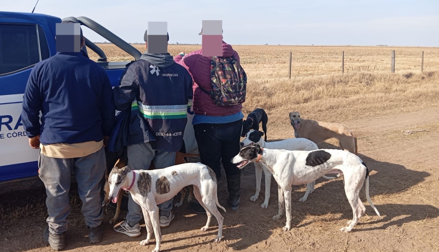 Detuvieron a 15 personas por caza ilegal y rescataron 33 perros en operativos rurales | Córdoba