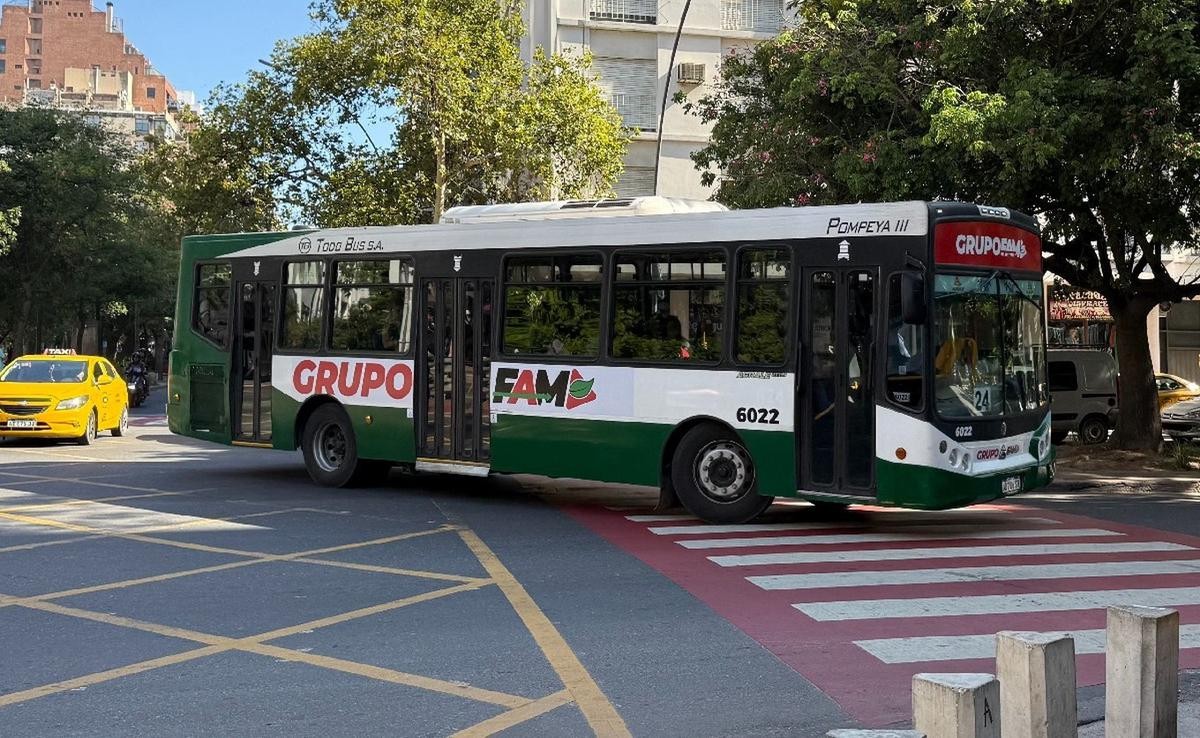 Transporte urbano en crisis en Córdoba: aplican operativo especial y viajes gratuitos tras denuncias de sabotaje | Córdoba