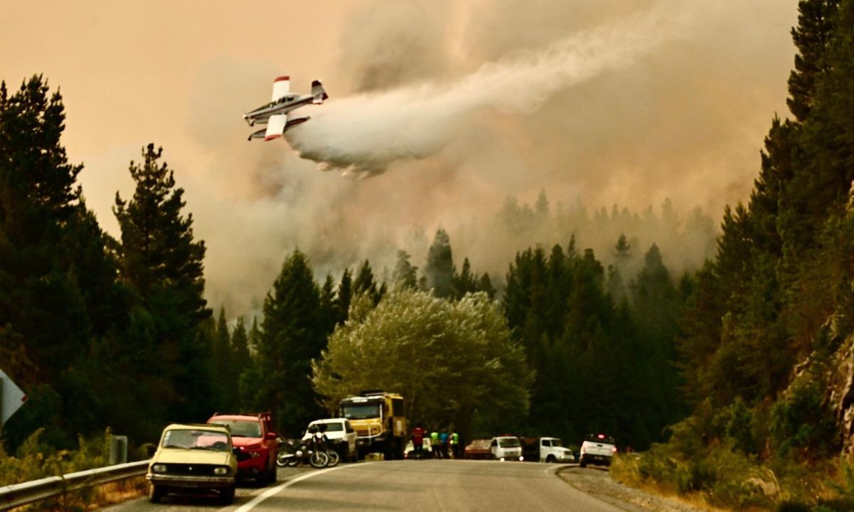 Alerta en Chubut: el viento y el calor reactivaron varios focos de incendio | Actualidad