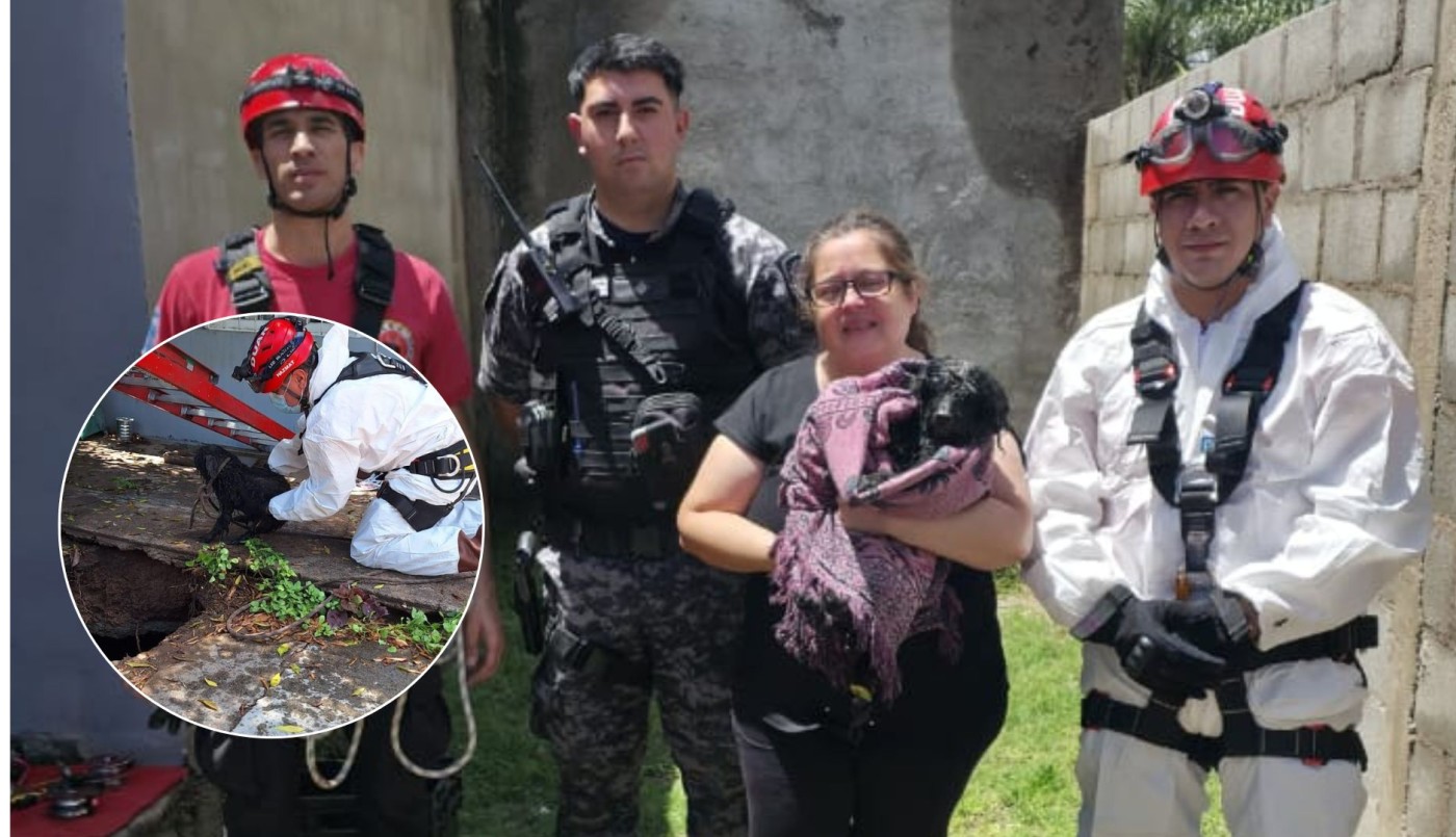 Rescate en Cerro Norte: bomberos salvaron a un perro que cayó a un pozo de 10 metros | Actualidad