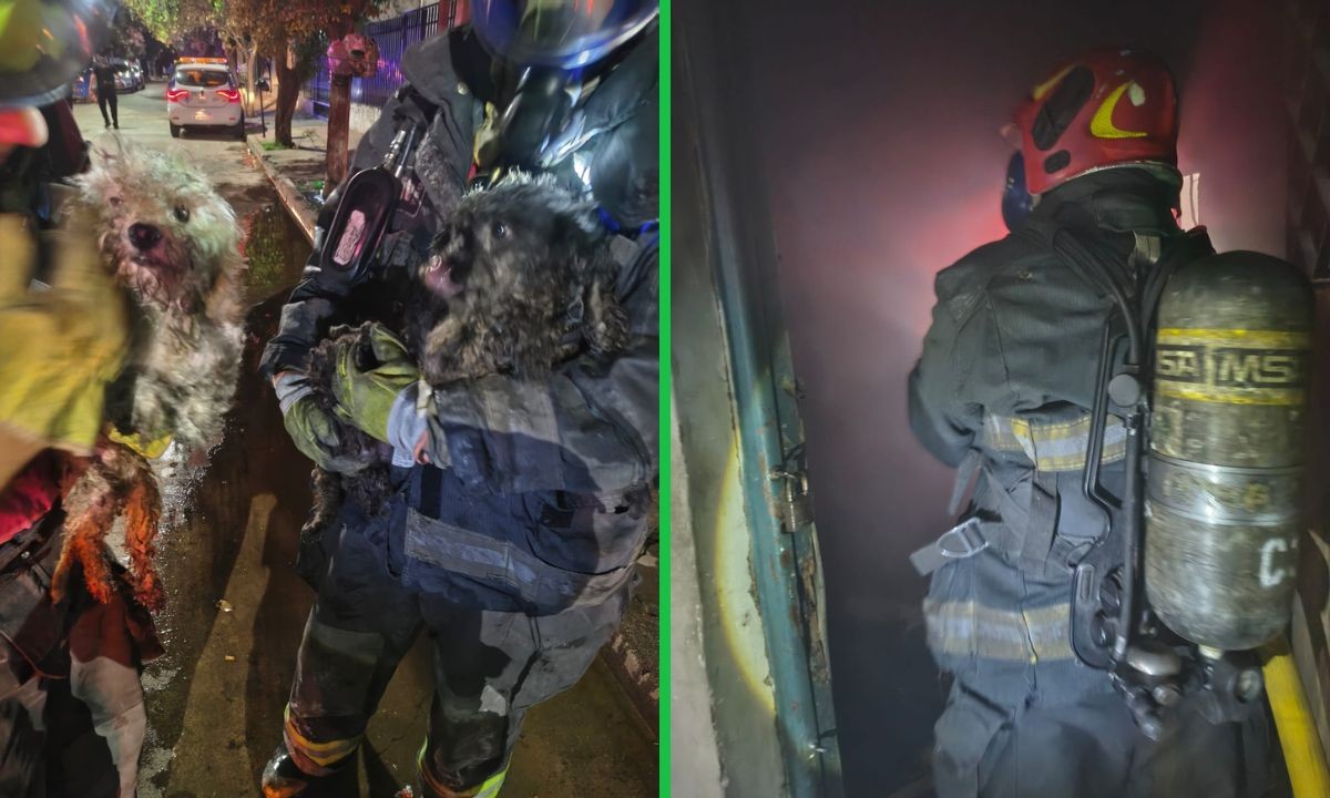 Bomberos rescataron a dos caniches durante un incendio en una vivienda de B° Colón | Córdoba