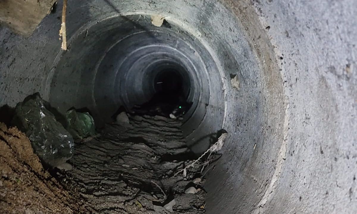 Bomberos rescataron a un perro atrapado 12 metros dentro de un desagüe pluvial | Córdoba
