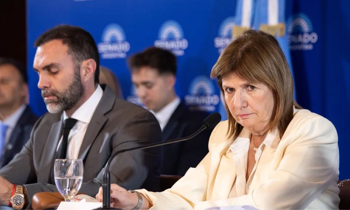 Bullrich inicia negociaciones en el Senado para aprobar la reforma laboral | Política y economía