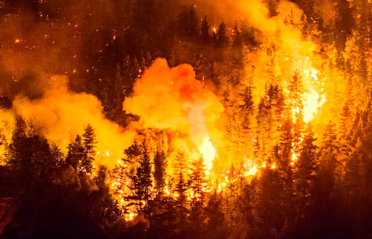 Bomberos cordobeses combaten los incendios en Chubut: trabajan en la zona de Puerto Patriada | Actualidad
