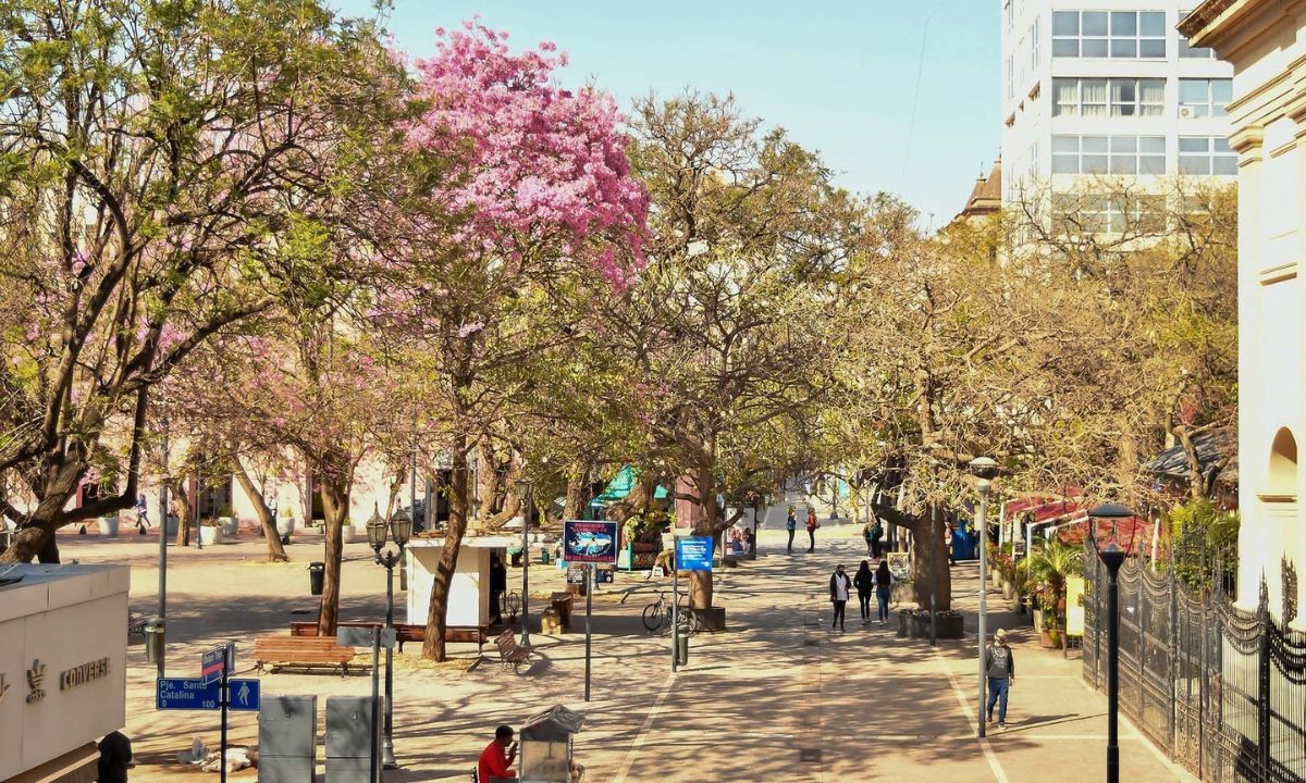 Clima en Córdoba hoy: pronóstico del tiempo para este viernes 12 de diciembre | Córdoba