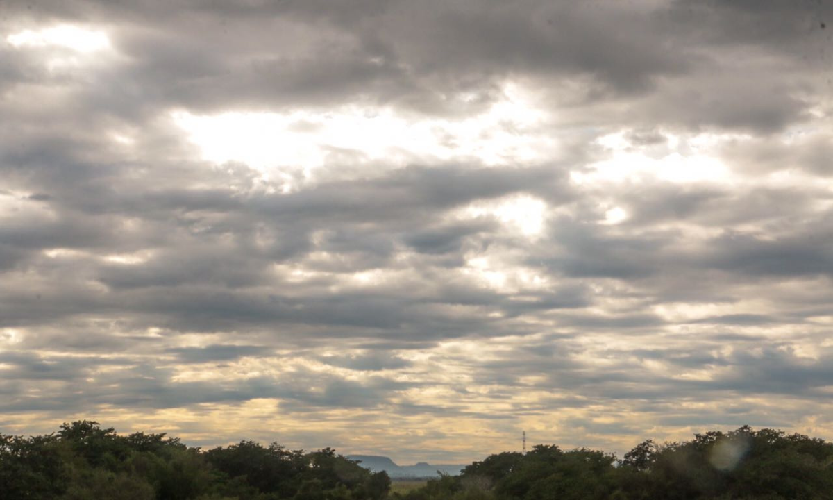 Clima en Córdoba hoy: ¿Cómo estará el tiempo este viernes 20 de febrero de 2026? | Córdoba