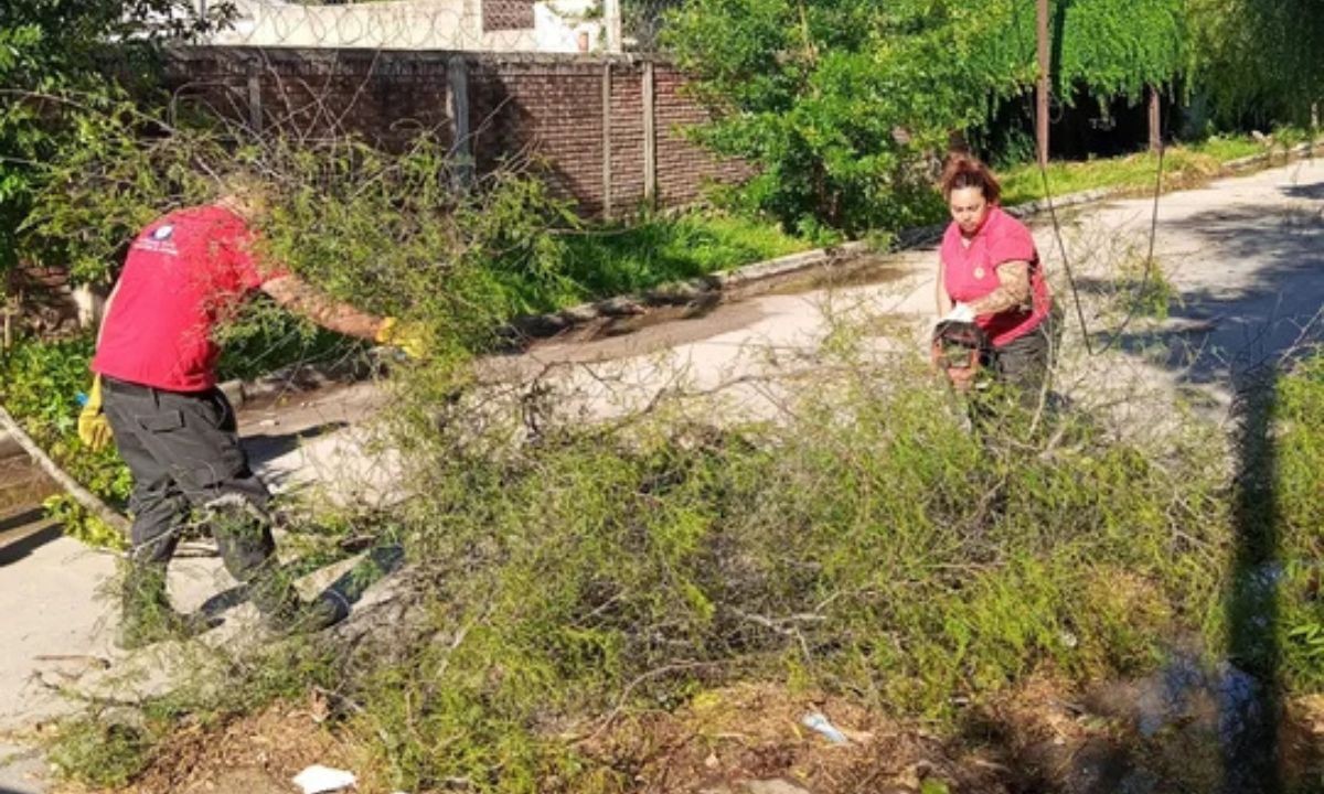 Córdoba bajo alerta: Defensa Civil asistió 95 emergencias tras la fuerte tormenta | Córdoba