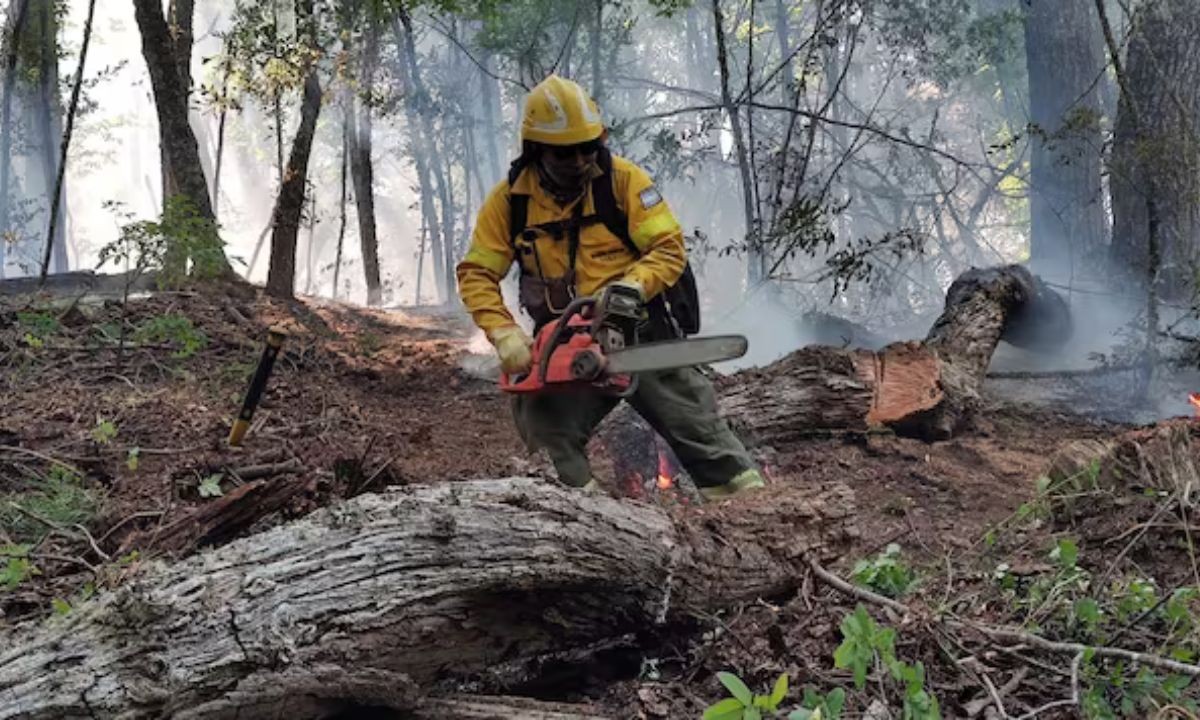 Córdoba envía a 63 bomberos para combatir los incendios en Chubut | Córdoba