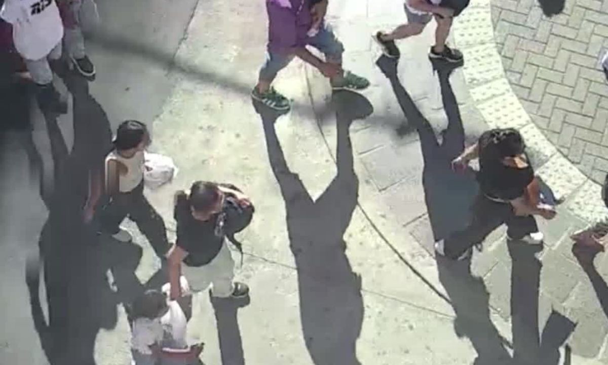 Detuvieron a una mujer por intento de robo en pleno centro de Córdoba | Córdoba