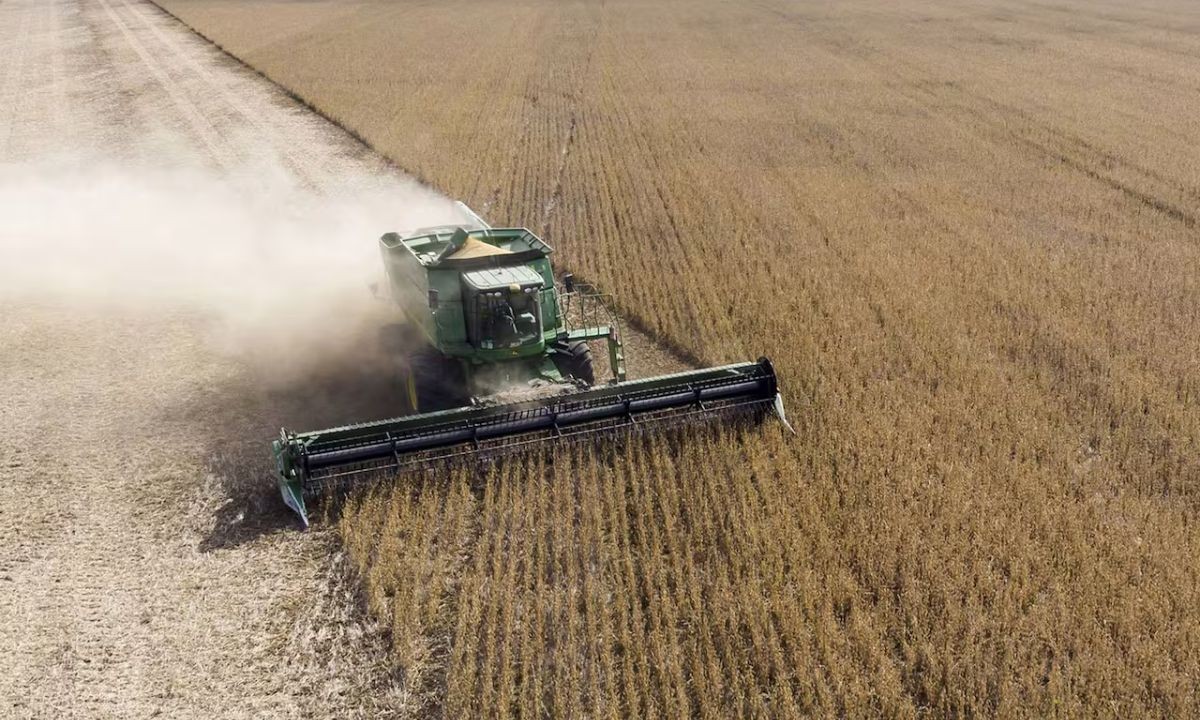 El Gobierno anunció una baja generalizada de retenciones para el campo | Actualidad