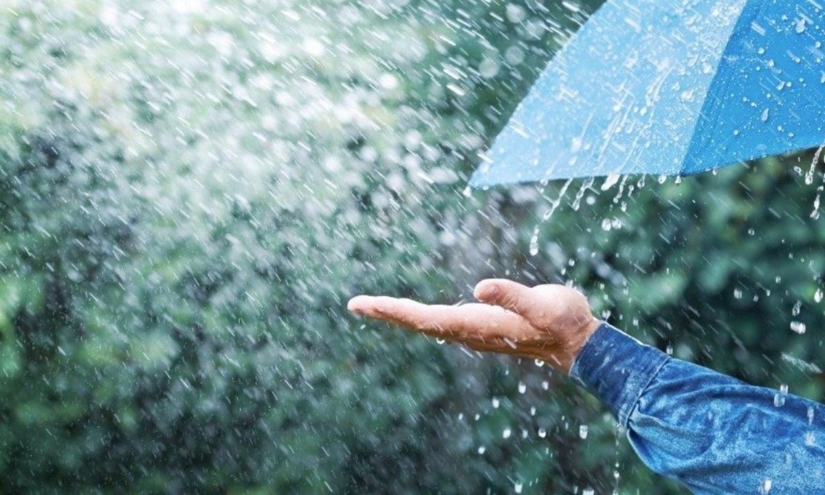 Clima en Córdoba: el Servicio Meteorológico anticipa lluvias y vientos para hoy jueves | Córdoba