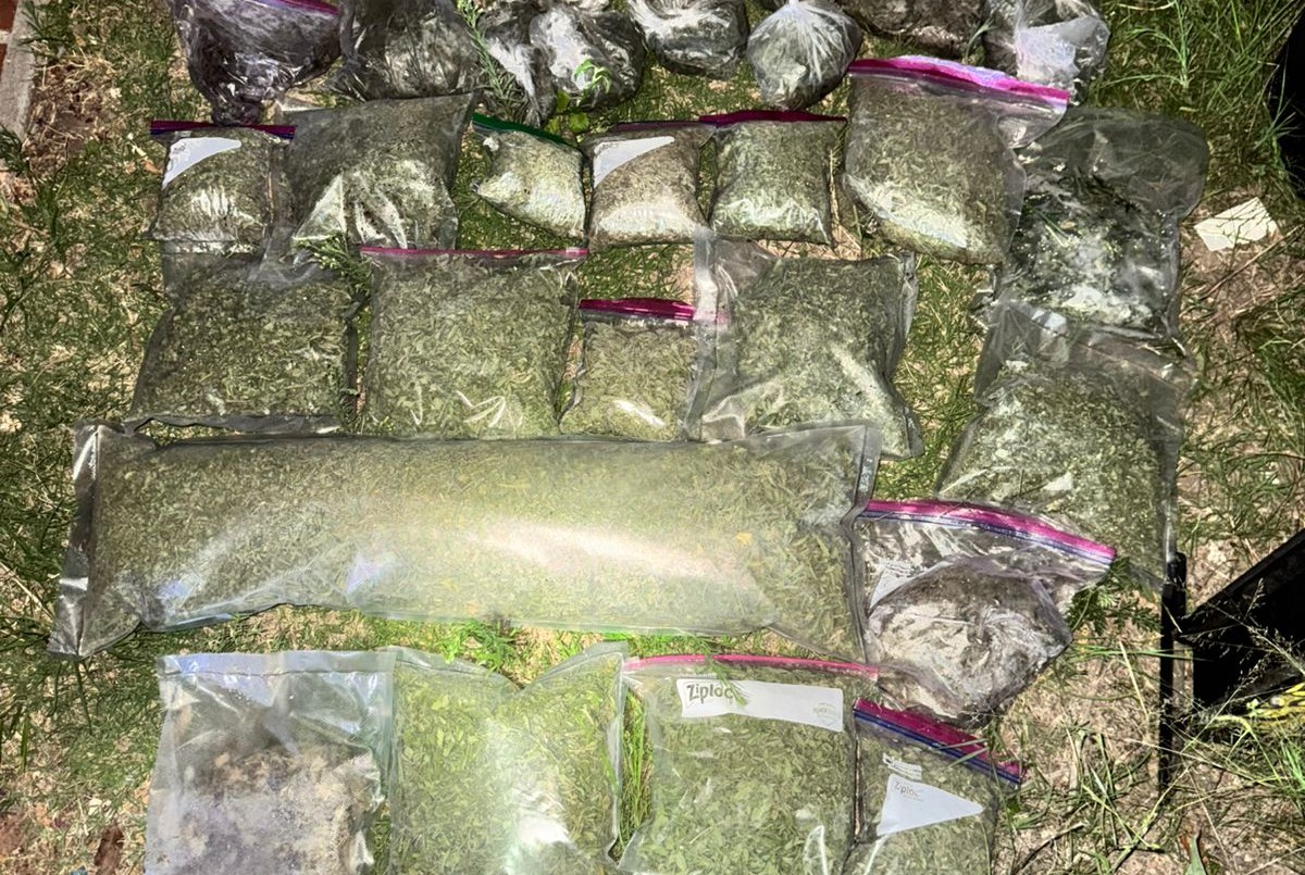 Secuestraron 69 plantas de cannabis tras un operativo conjunto entre la Policía y la FPA | Córdoba