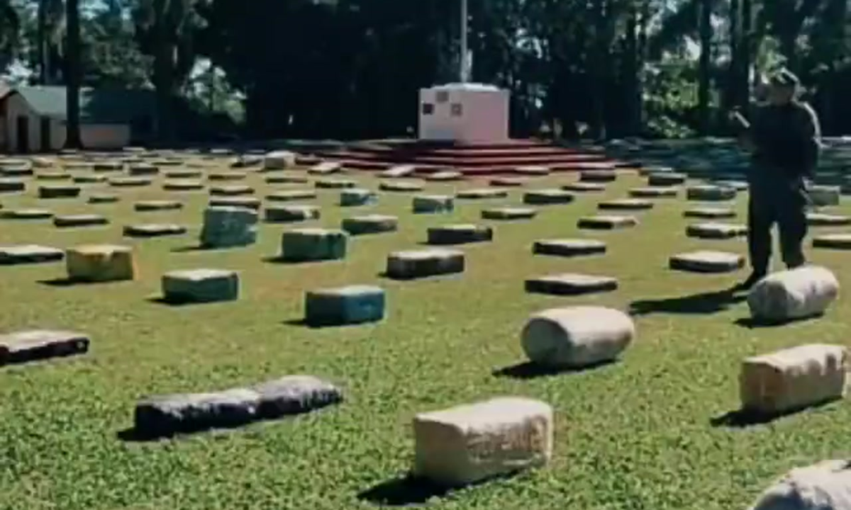 Incautaron 9.800 kilos de marihuana en Misiones en un operativo con Brasil | Actualidad