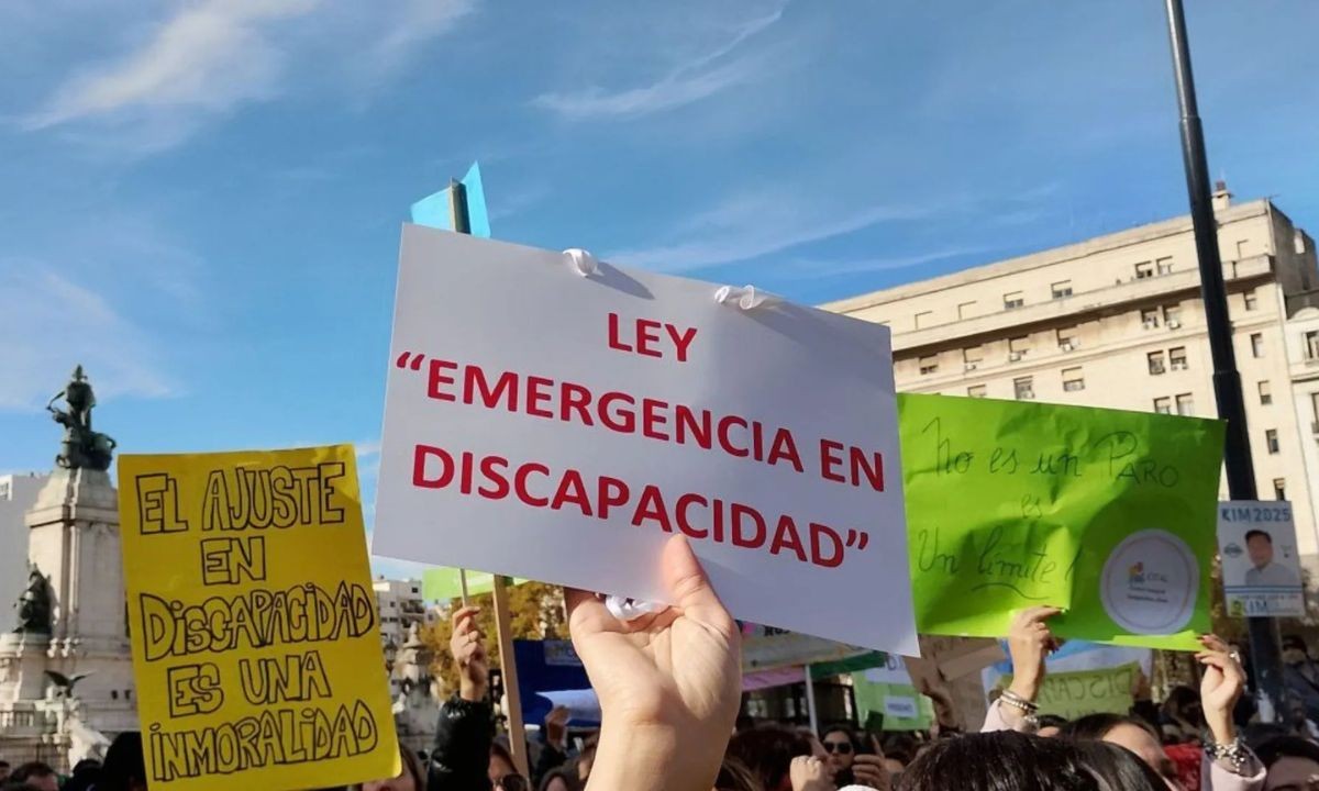 El Gobierno apelará el fallo que ordena aplicar la Ley de Emergencia en Discapacidad | Actualidad