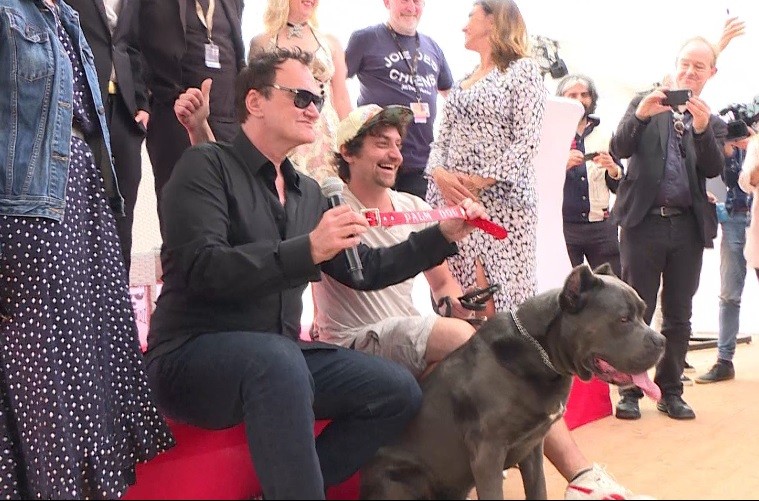 Brandy, la perra que ganó como mejor intérprete canino en el Festival de Cannes | Espectáculos