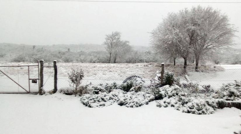 La nieve sorprendió, tapizando de blanco el norte de Córdoba | Actualidad