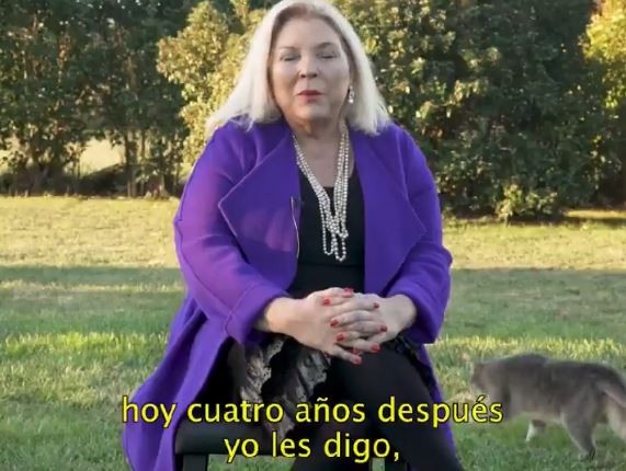 Un gato protagonizó el último spot de campaña de Carrió | Elecciones Legislativas 2021