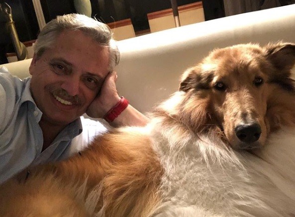Efecto Dylan Fernández: criadores de collies creen que subirán las ventas | Curiosidades